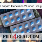 Leopard Secret Miracle Honey viagra4